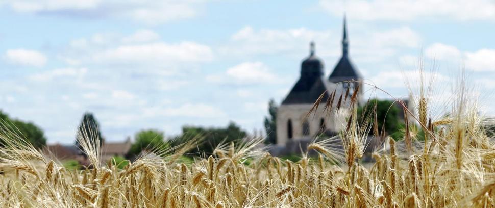 champ de blé devant une église