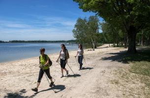 Balades guidées au bord d'un étang