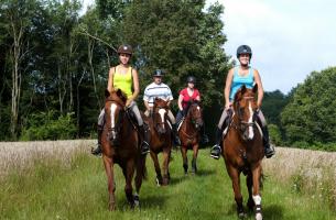 randonnee cheval loiret